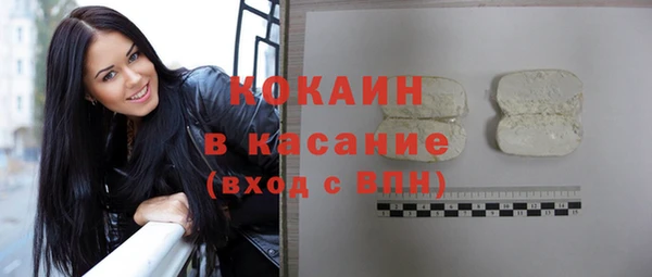 прущие грибы Богданович