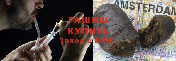 прущие грибы Богданович